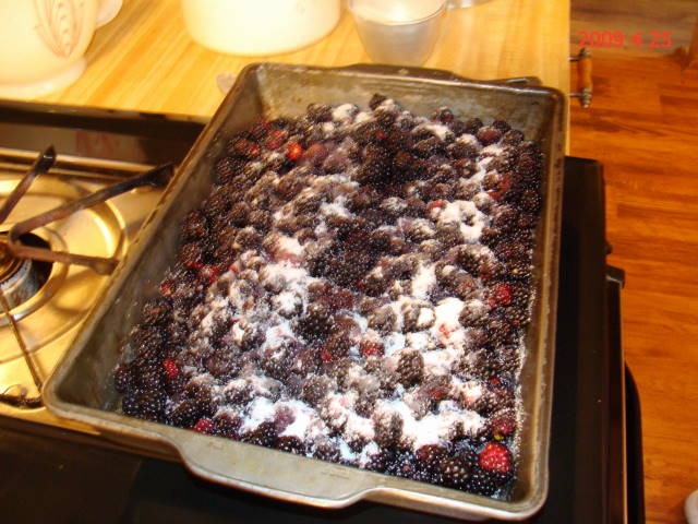 Dewberry cobbler recipe