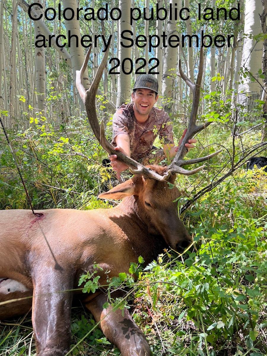 Click image for larger version

Name:	Colorado Elk 2022.jpg
Views:	91
Size:	311.3 KB
ID:	26530818