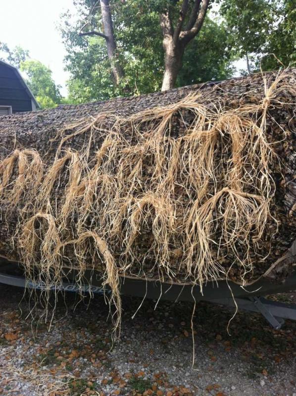 Building the duck barge - Raffia grass for the blind 28 